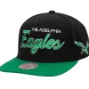 Team Script 2.0 Snapback Philadelphia Eagles