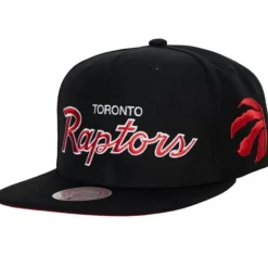 Team Script 2.0 Snapback Toronto Raptors