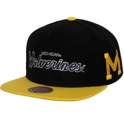 Team Script 2.0 Snapback University Of Michigan