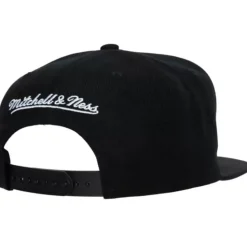 Team Script 2.0 Snapback Washington Wizards