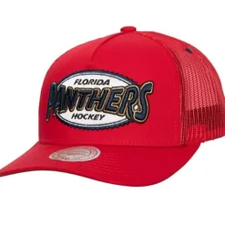 Team Seal Trucker Snapback Florida Panthers