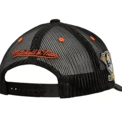 Team Seal Trucker Snapback Anaheim Ducks