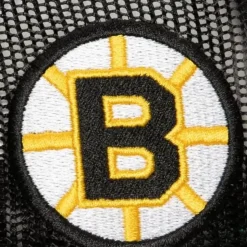 Team Seal Trucker Snapback Vintage Boston Bruins