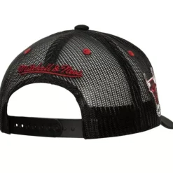 Team Seal Trucker Snapback Hwc Chicago Bulls