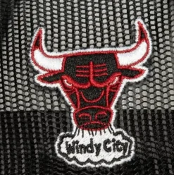 Team Seal Trucker Snapback Chicago Bulls