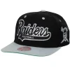 Team Tailsweep Snapback Los Angeles Raiders