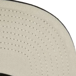 100Th Snapback Boston Bruins