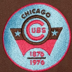 The Damn Snapback Coop Chicago Cubs