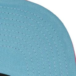 The Damn Snapback Coop Houston Astros