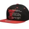 The Info Snapback Hwc Chicago Bulls