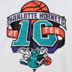 Toss Up Snapback Hwc Charlotte Hornets