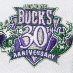 Toss Up Snapback Hwc Milwaukee Bucks