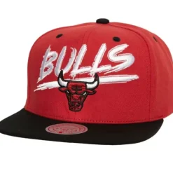 Transcript Snapback Chicago Bulls