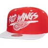 Transcript Snapback Vntg Detroit Red Wings