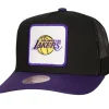 Truck It Trucker Snapback Los Angeles Lakers