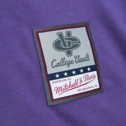 University Arch Logo Ls Tee Northwestern University