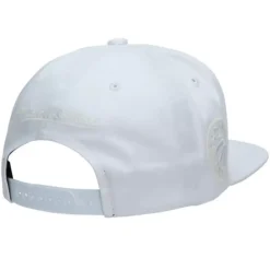 Uv Reactive Snapback Toronto Raptors