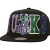 Varsity Bust Snapback Hwc Milwaukee Bucks