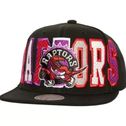 Varsity Bust Snapback Hwc Toronto Raptors