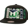 Varsity Bust Snapback Vntg Hartford Whalers