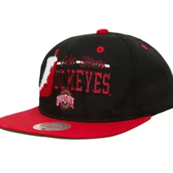 Varsity Letter Snapback Ohio State