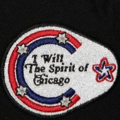 Vintage Fitted Chicago Blackhawks