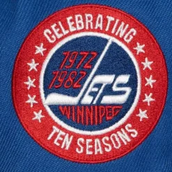 Vintage Fitted Winnipeg Jets