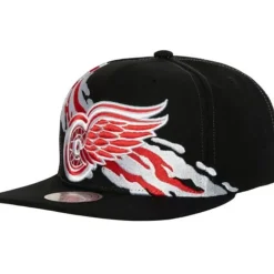 Vintage Paintbrush Snapback Detroit Red Wings
