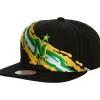 Vintage Paintbrush Snapback Minnesota North Stars