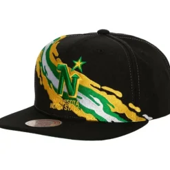 Vintage Paintbrush Snapback Minnesota North Stars