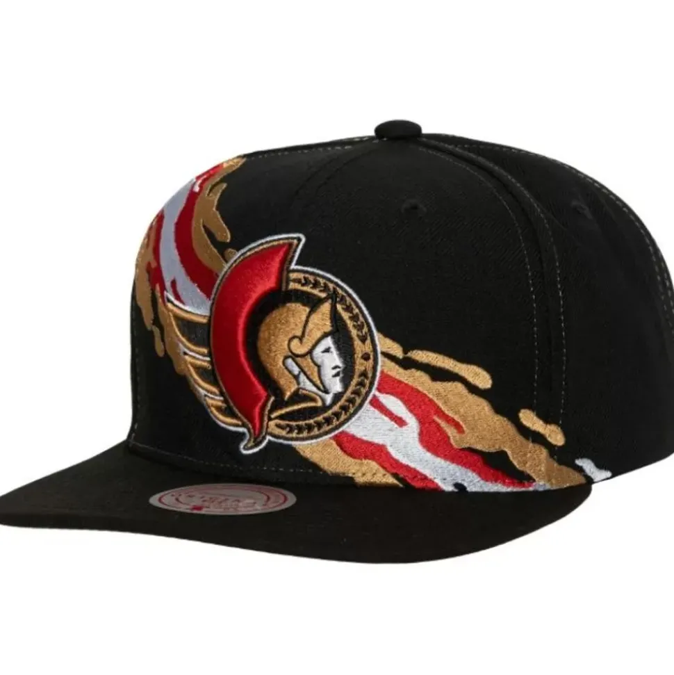 Vintage Paintbrush Snapback Ottawa Senators