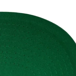 Vintage Script Snapback Hartford Whalers