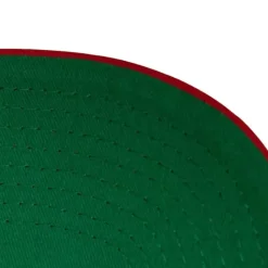 Vintage Script Snapback Washington Capitals