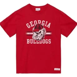 Vintage Stripes Tee University Of Georgia