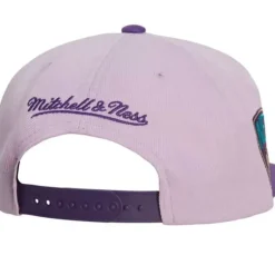 Violet Views Snapback Brooklyn Nets