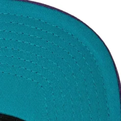 Violet Views Snapback Brooklyn Nets