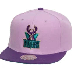 Violet Views Snapback Hwc Milwaukee Bucks