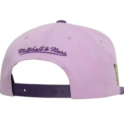 Violet Views Snapback Hwc Milwaukee Bucks