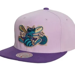 Violet Views Snapback Hwc Charlotte Hornets