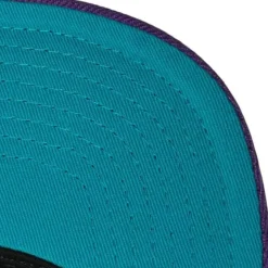 Violet Views Snapback Hwc Charlotte Hornets