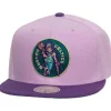 Violet Views Snapback Hwc Boston Celtics
