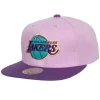 Violet Views Snapback Los Angeles Lakers