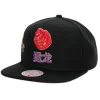 Water Tiger Snapback Hwc Toronto Raptors