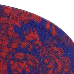 Water Tiger Snapback Hwc Toronto Raptors