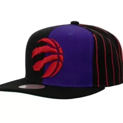 What The Pinstripe Snapback Toronto Raptors