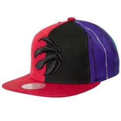 What The? Snapback Toronto Raptors