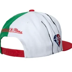 What The? Snapback Toronto Raptors