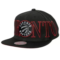 Winner Circle Snapback Toronto Raptors