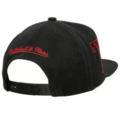 Winner Circle Snapback Toronto Raptors