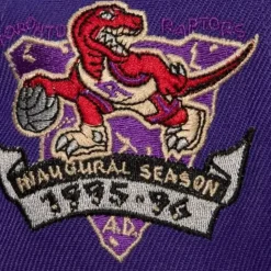 With Love Snapback Hwc Toronto Raptors